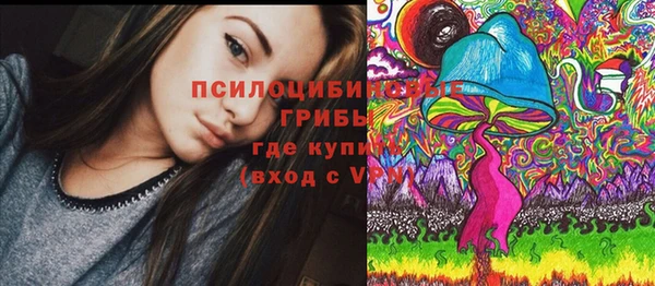 твердый Вязники