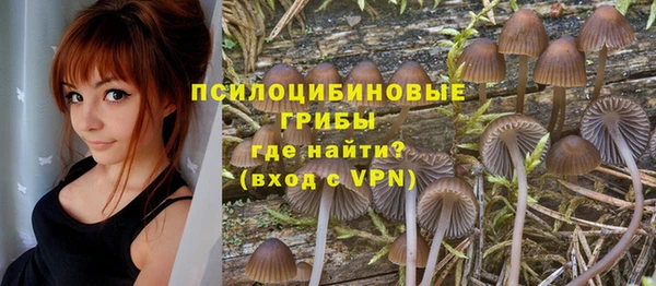 твердый Вязники
