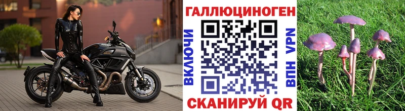 Псилоцибиновые грибы Psilocybine cubensis кракен ссылки Закаменск