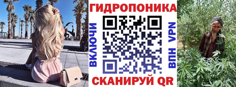 Конопля конопля продажа наркотиков Закаменск